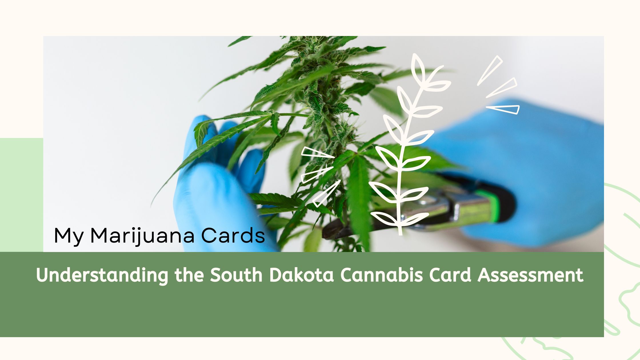 cannabis card assessment south dakota