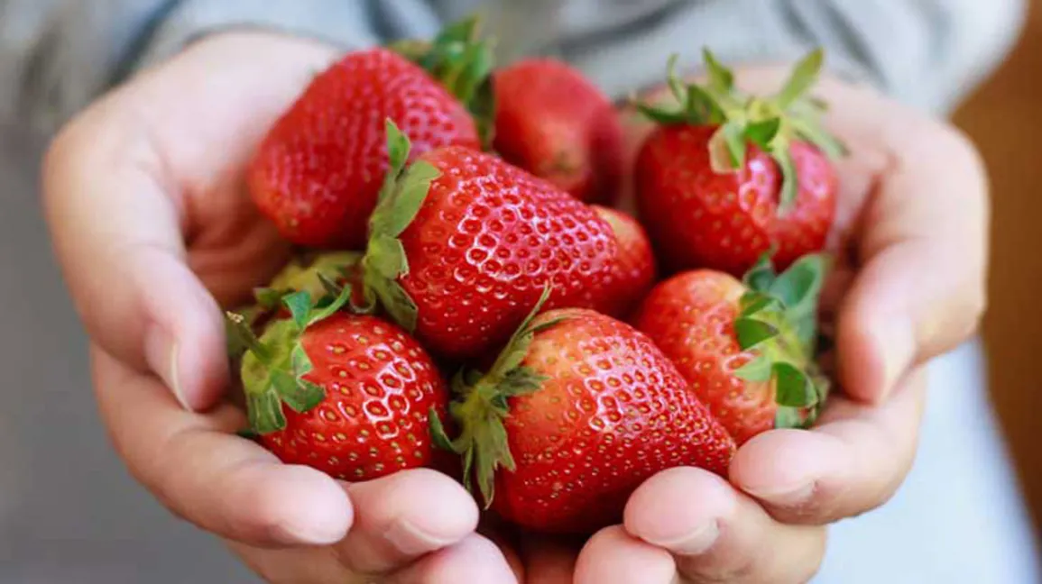 Why Strawberries Are Vital for Men’s Well-being