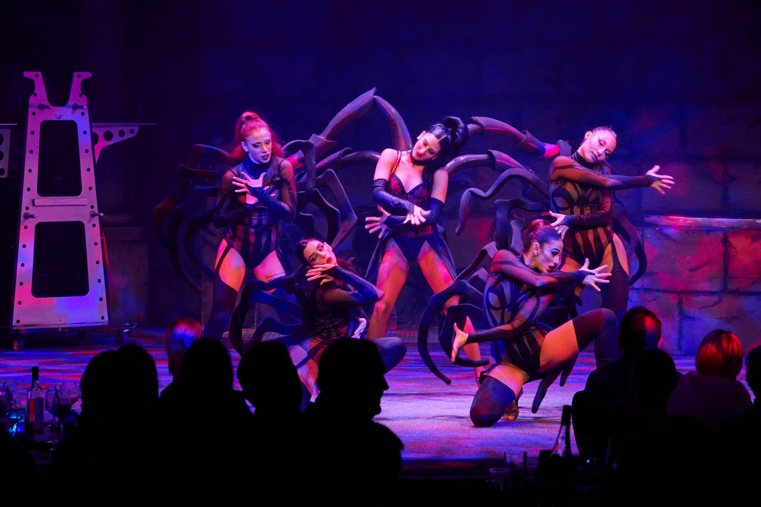 Edit Slavova’s Leadership in Modernizing the Sarrasani Brand