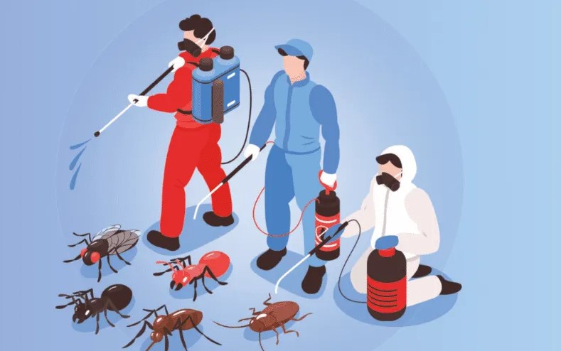 Effective Pesticide Control Service & Pest Treatment Services for a Pest-Free Home