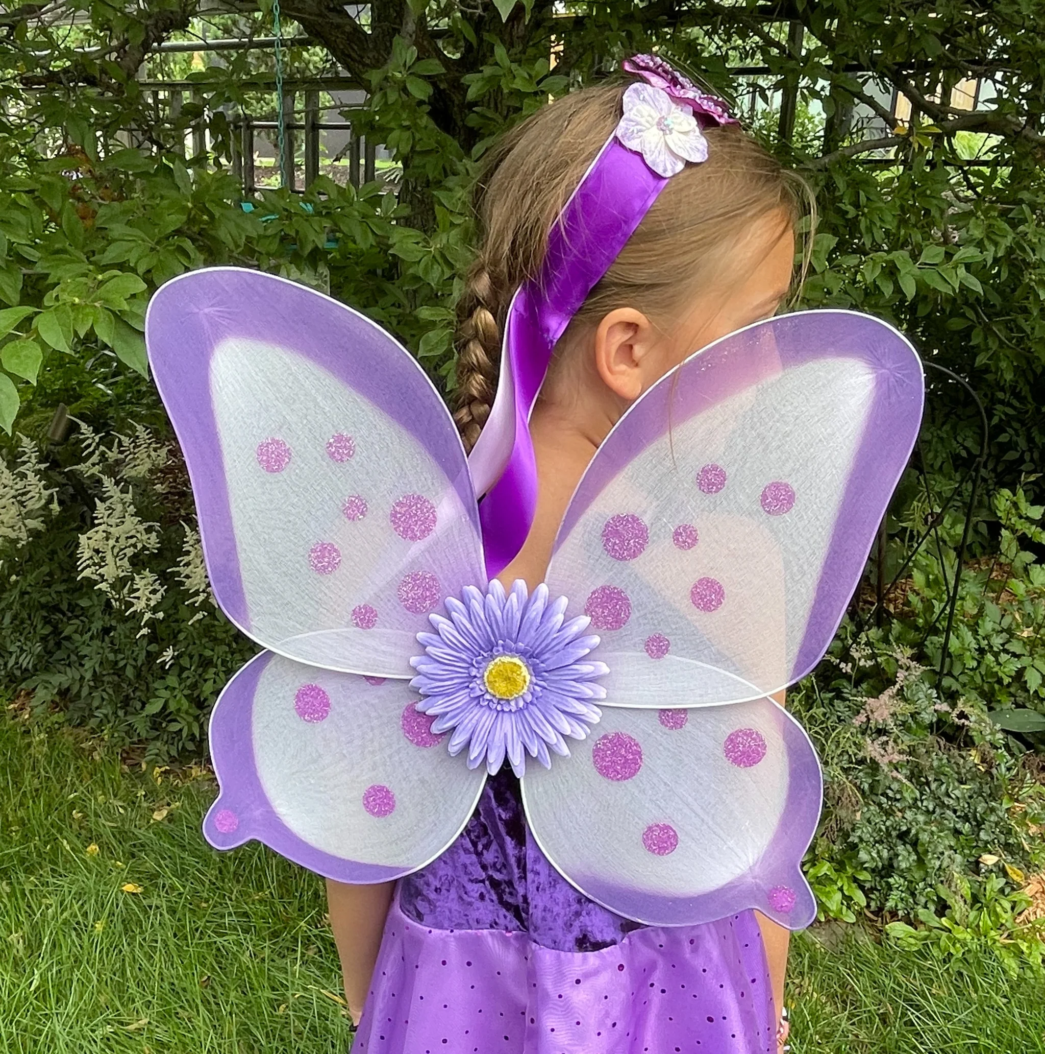 butterfly fairy wings