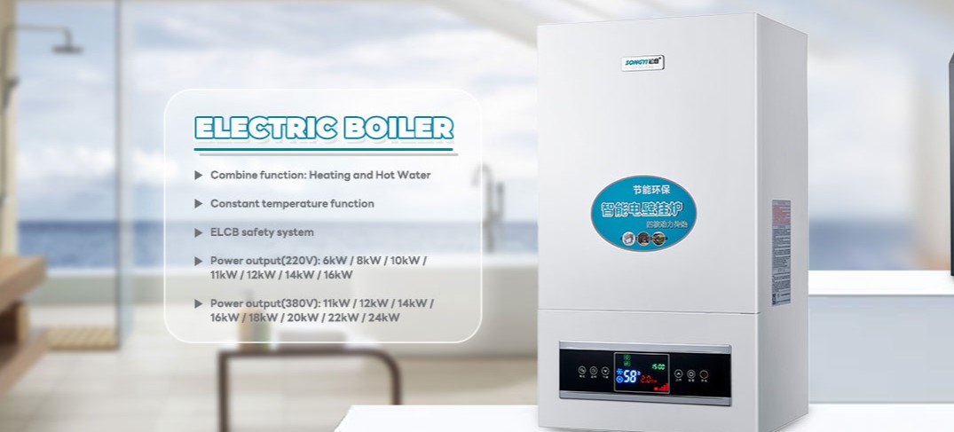 RV Water Heater
