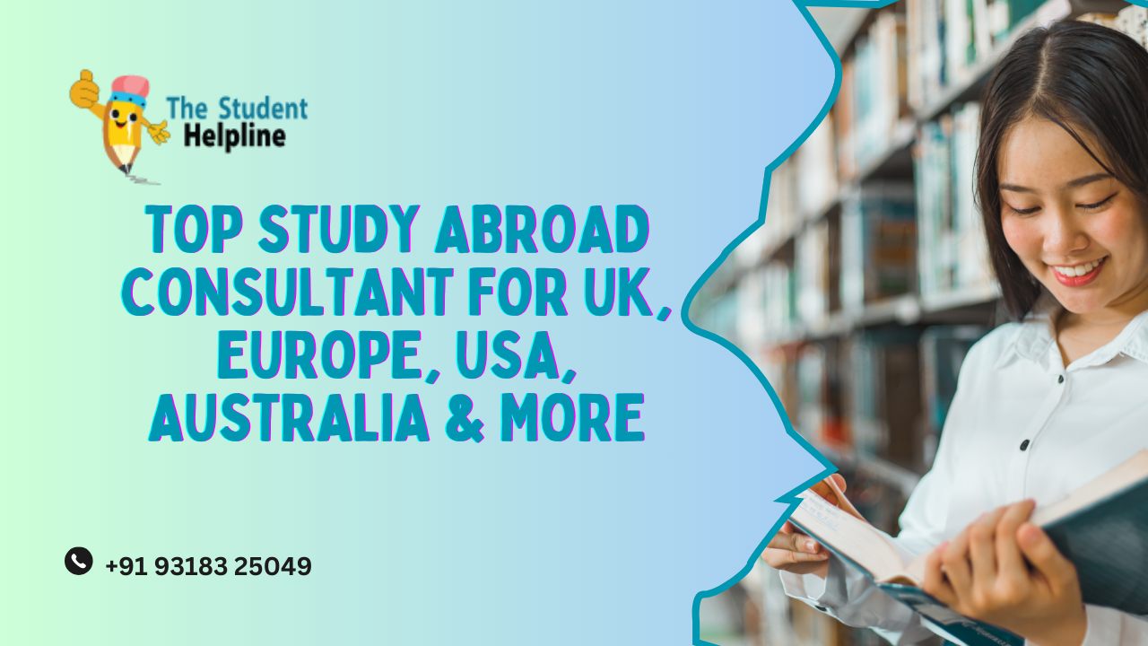 study abroad consultant