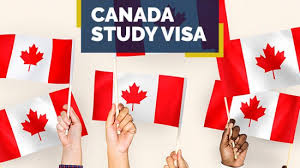 Go Sky Visa: Your Gateway to Study in Canada for International Students