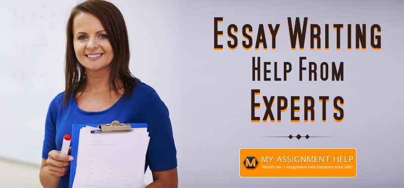 cheap essay writing service