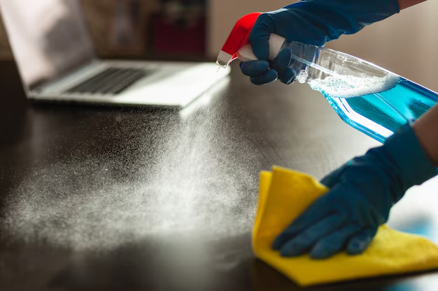 Professional cleaning service team cleaning a modern living room with attention to detail.