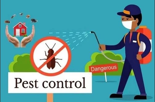 Pest control in Lahore