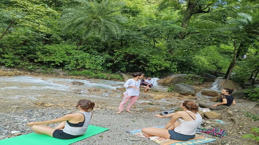 "Reconnect with Nature at a Yoga Retreat in Rishikesh"
