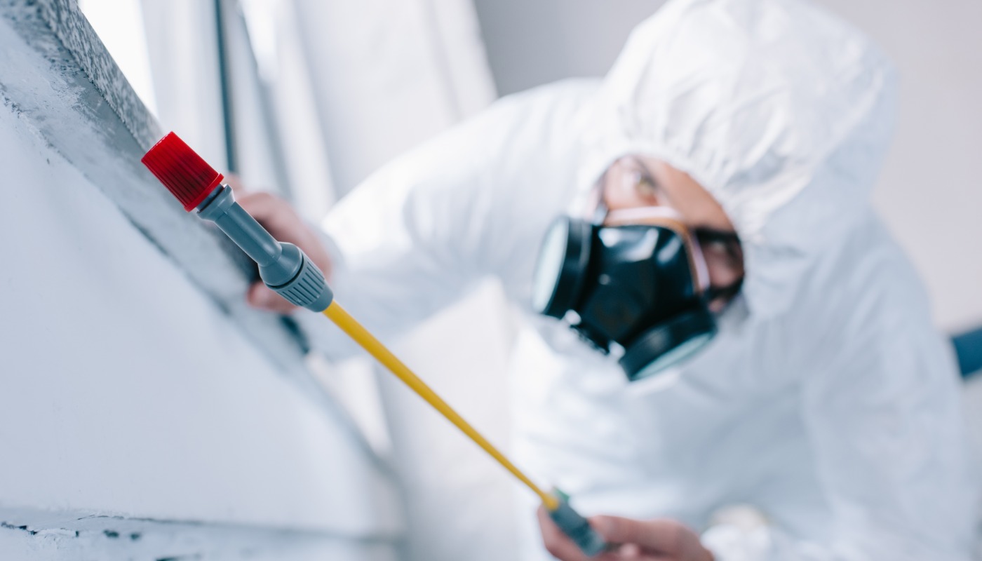 Effective Pest Control Services for a Safe and Hygienic Environment