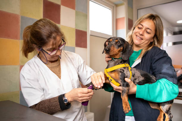 Laurel Veterinary Hospital