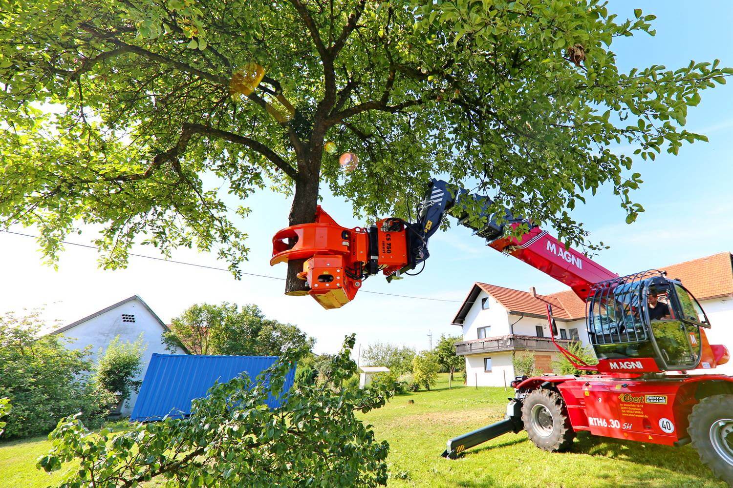 best price tree service