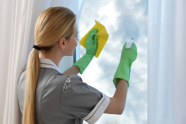 Window Cleaning Services