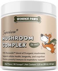 Mushroom Supplements for Dogs