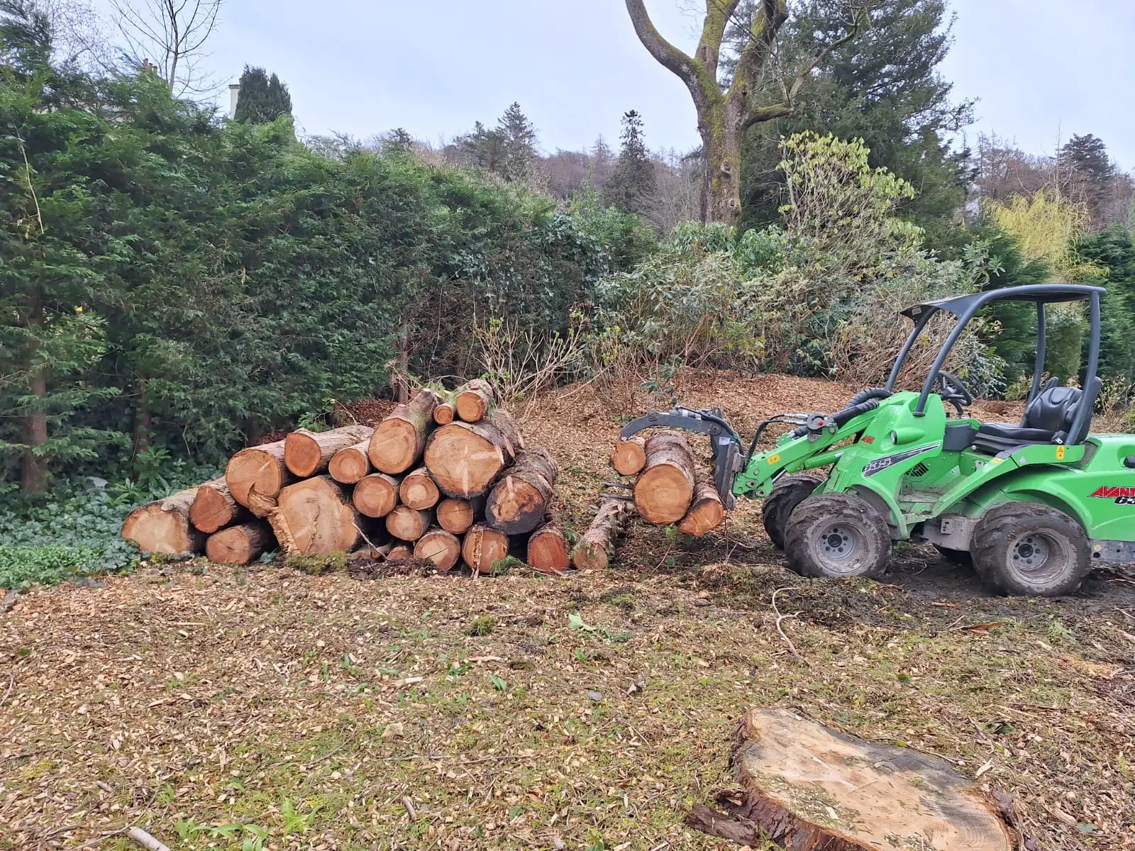 Tree Surgeon Liverpool