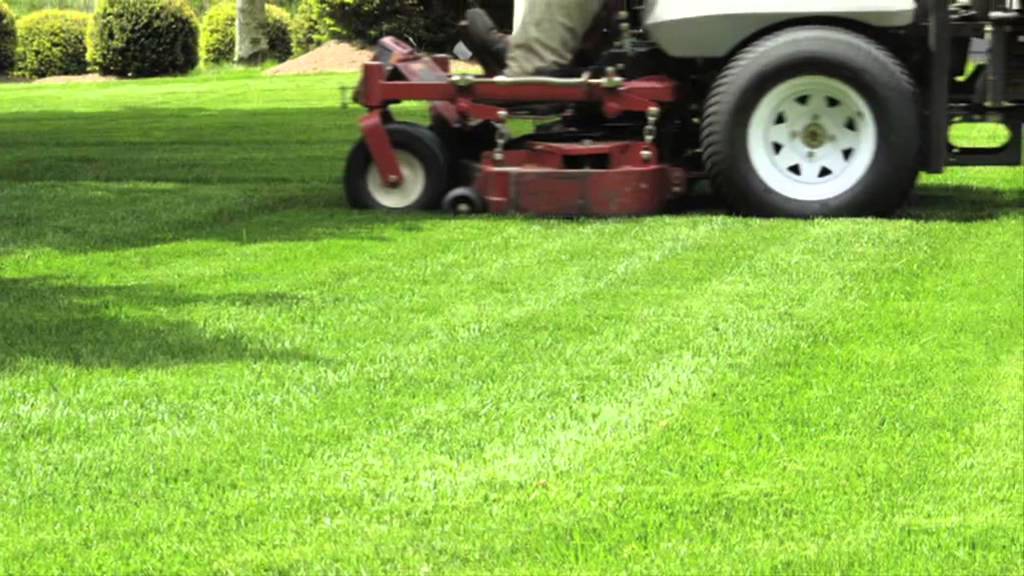 Transform Your Lawn with Expert Lawn Care in Rogers