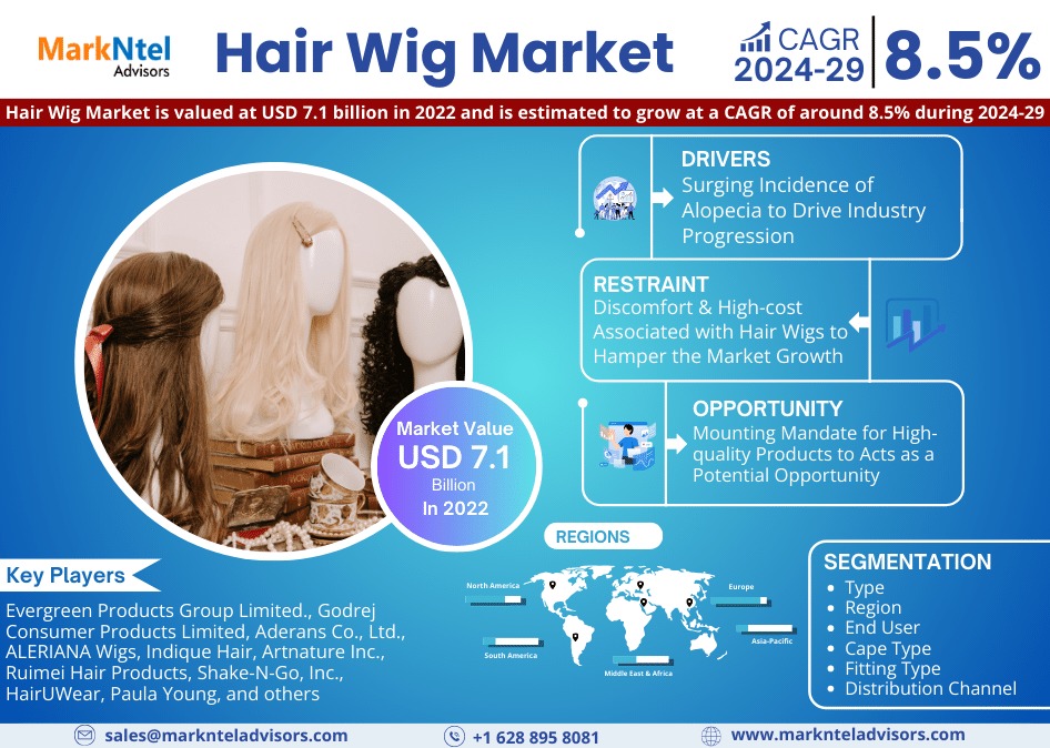 Hair Wig Market
