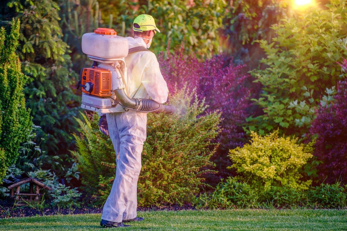 pest control services in lansing