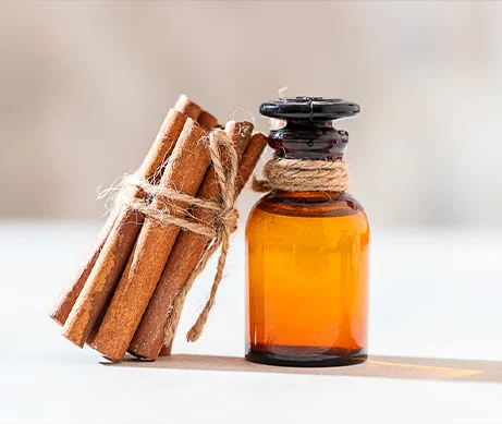 cinnamon bark oil wholesale