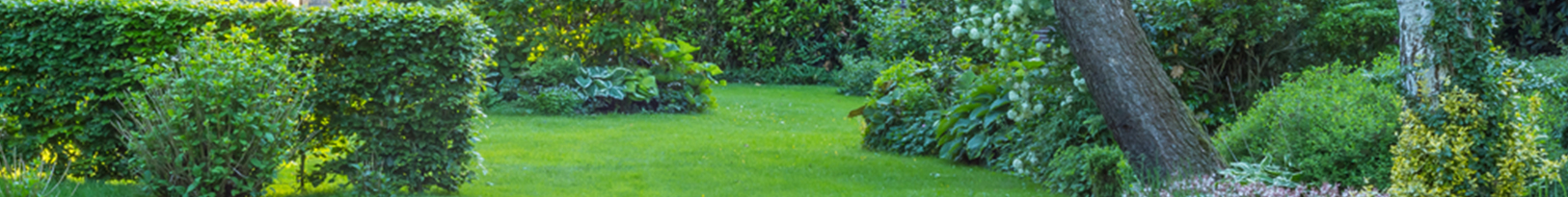 Lawn Mowing Malabar