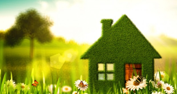 Open Plots in Tadikonda