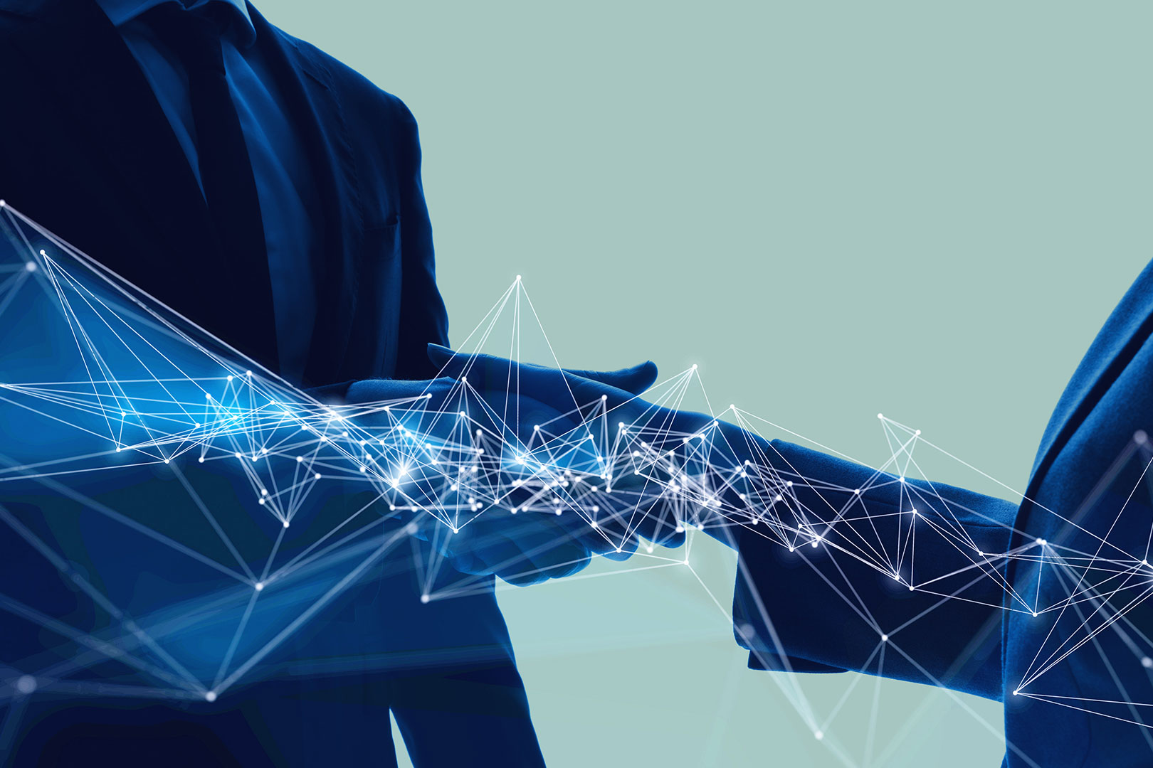 vendor management system