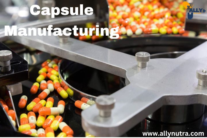 Streamline Your Health Brand with Professional Capsule Manufacturing