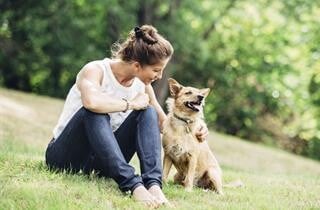 charlotte in home pet euthanasia