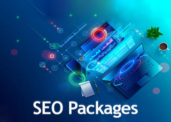 Benefits of Partnering with a Professional SEO Company in USA