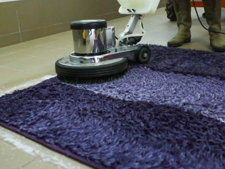 Best Eco-Friendly Carpet Cleaning Methods in 2025