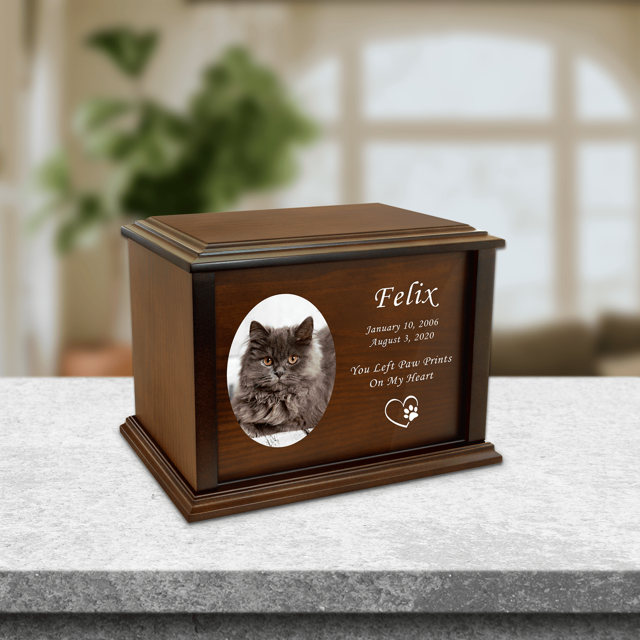 Pet Urns for ashes