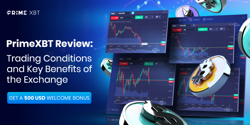 Explore the Potential of Profits with PrimeXBT Trading Platform