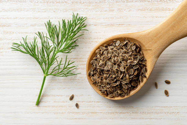 Unlock Flavor with Aromatic Dill Seeds Today