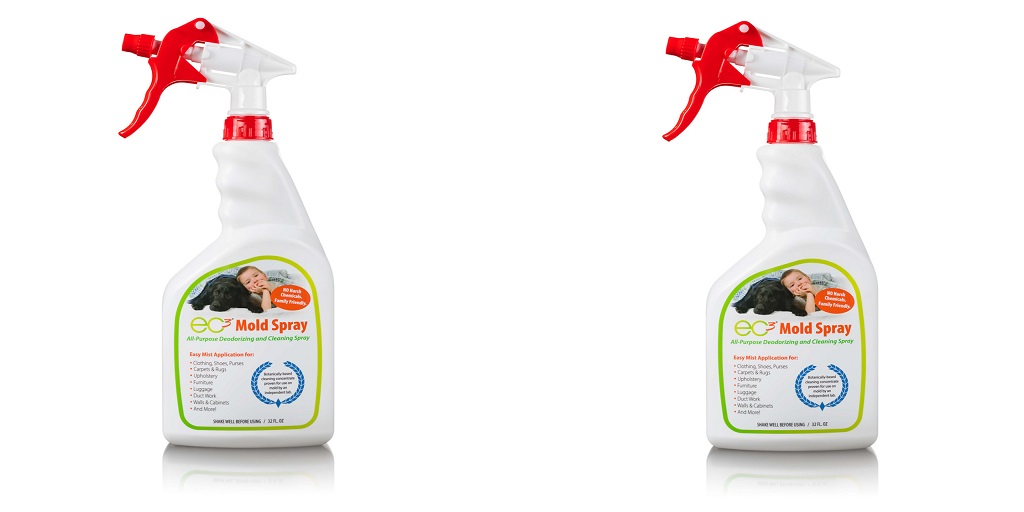 The Dangers of Mold and How EC3 Mold Spray Can Help