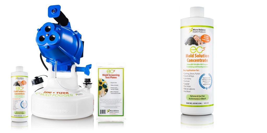 How Mold Impacts a Child’s Development