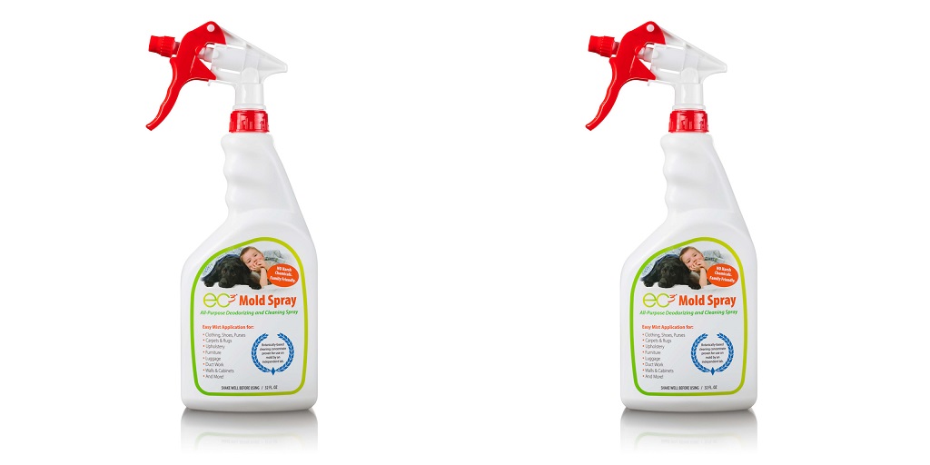 Removing Mold on Plastic Surfaces