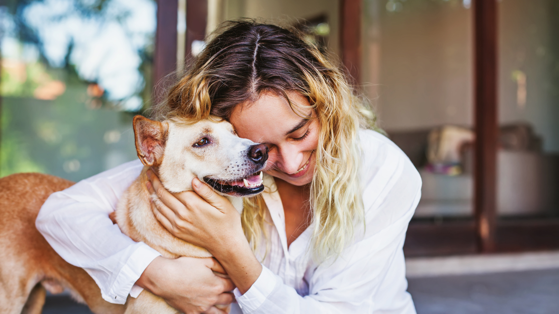 When Should You Consider Euthanasia for Kidney Disease?