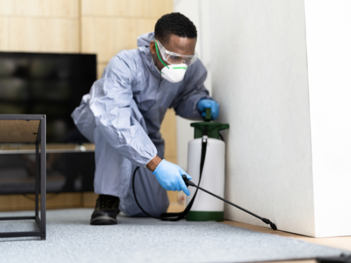 Pest Control Services in Australia