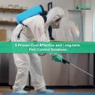 Why You Should Hire Professional Pest Control in Scarborough?