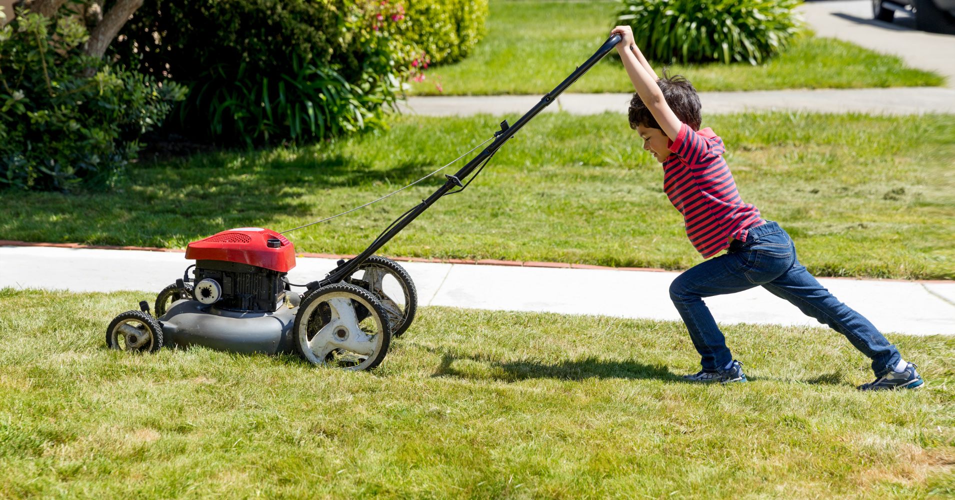 The Ultimate Guide to Lawn Care in Atlanta Year-Round Tips & Services
