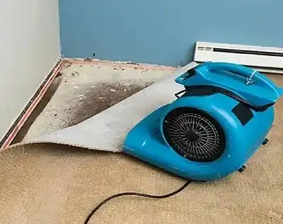 biohazard clean up Winnipeg