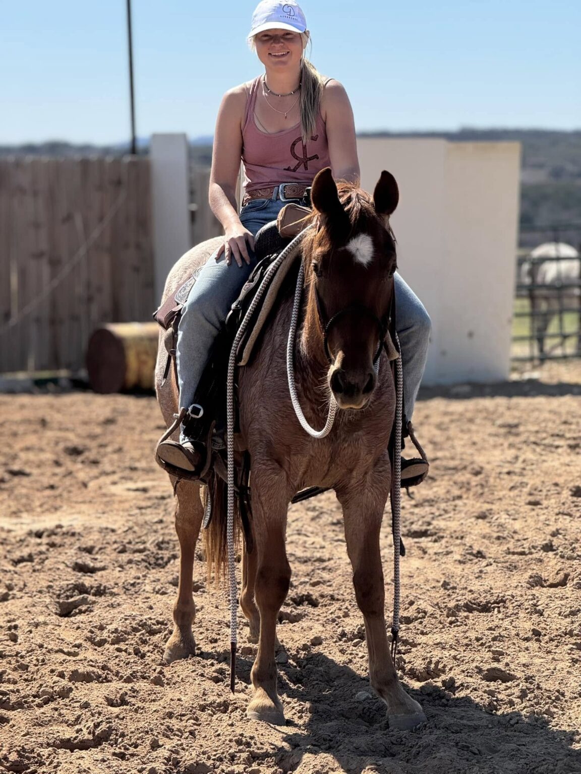 Ranch Horses for Sale in Texas