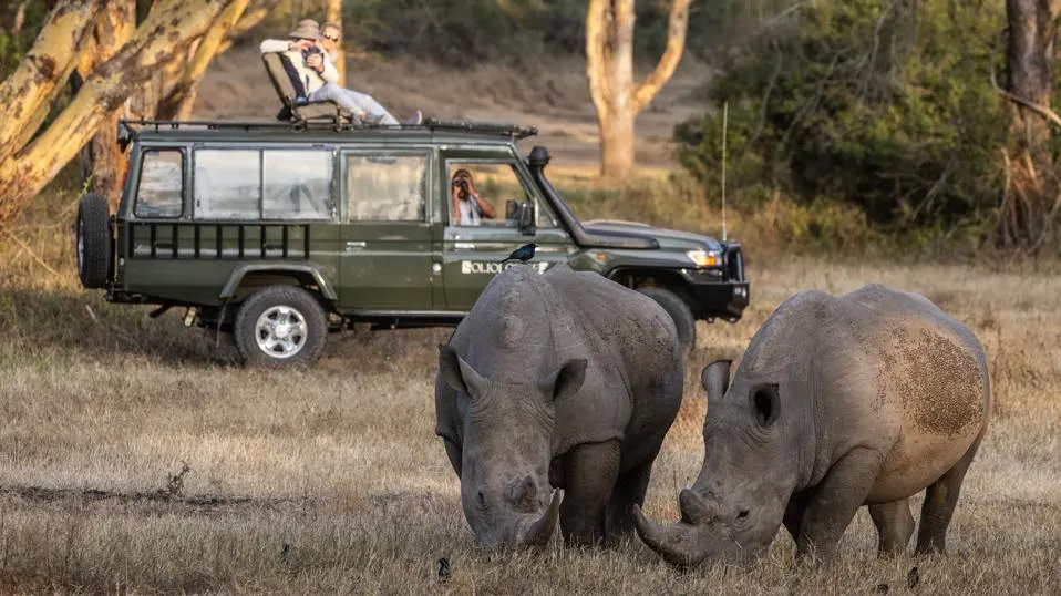 Luxury Kenya Safaris