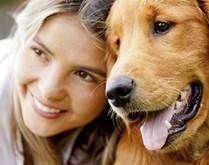 What Are The Pros and Cons of Spaying/Neutering Your Cat?