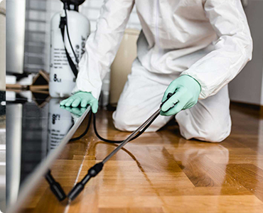 Are Pest Control Services in Scarborough Worth the Money? 