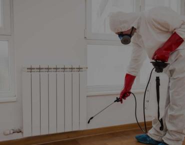 5 Unexpected Signs You Might Need Pest Control in Scarborough