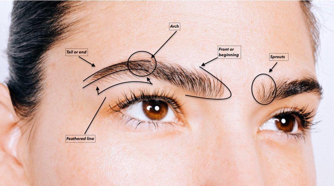 Change Your Look with Eyebrow Hair Transplant Safely