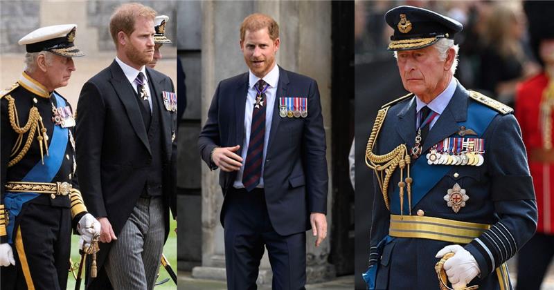 Prince Harry and King Charles