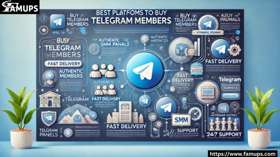 Best Platforms to Buy Telegram Members
