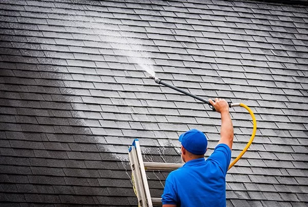 Professional Roof Cleaning in Fife: Enhancing Property Value and Longevity