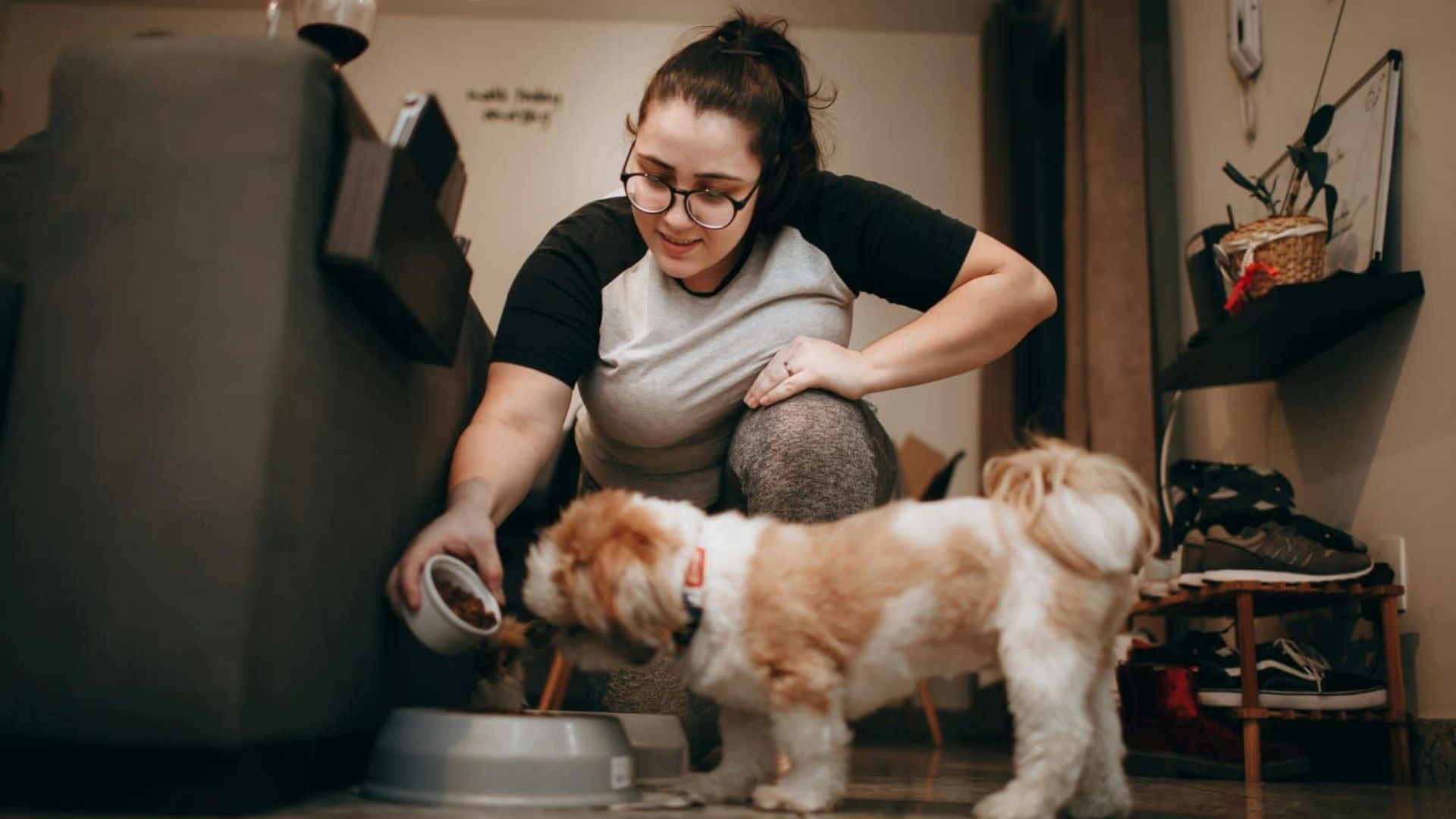 Trusted Cat Sitter in New York